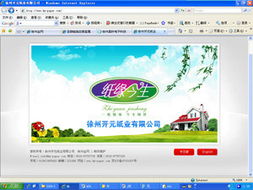 徐州金网 打造全方位的数字化解决方案专家